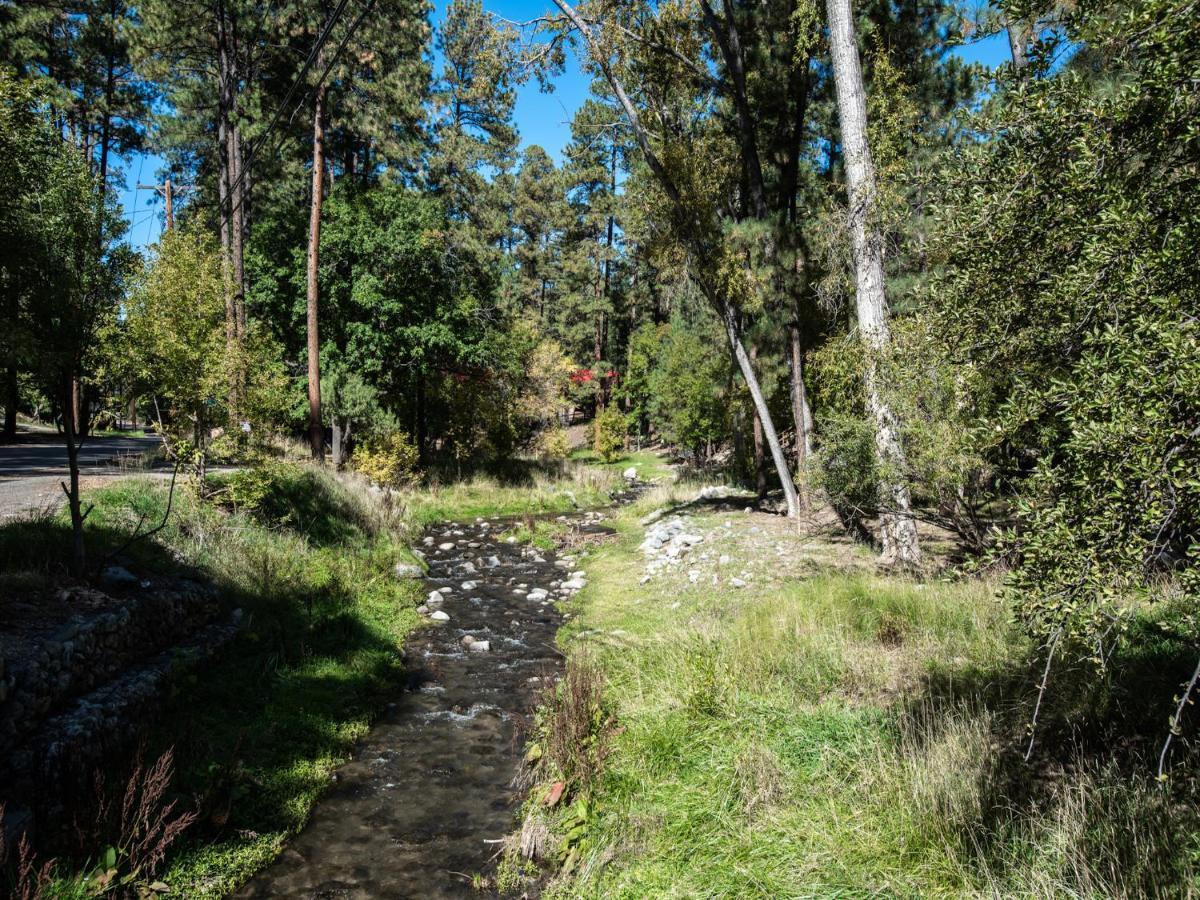 Perfect Cabin, 2 Bedrooms, Fireplace, Midtown, Sleeps 5 Ruidoso Bagian luar foto